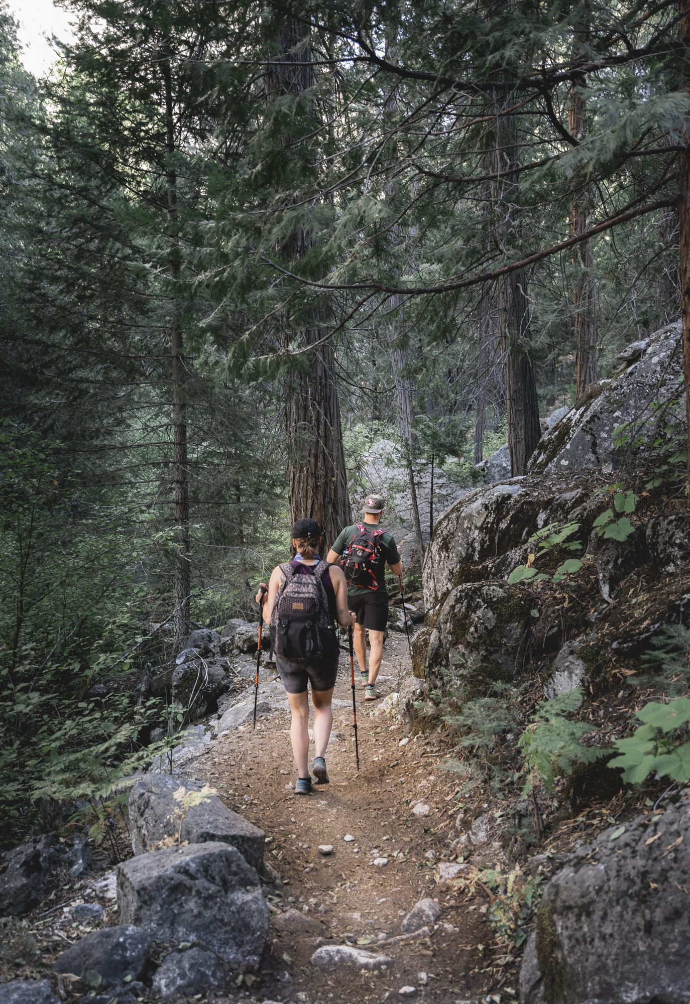 Forest Hike