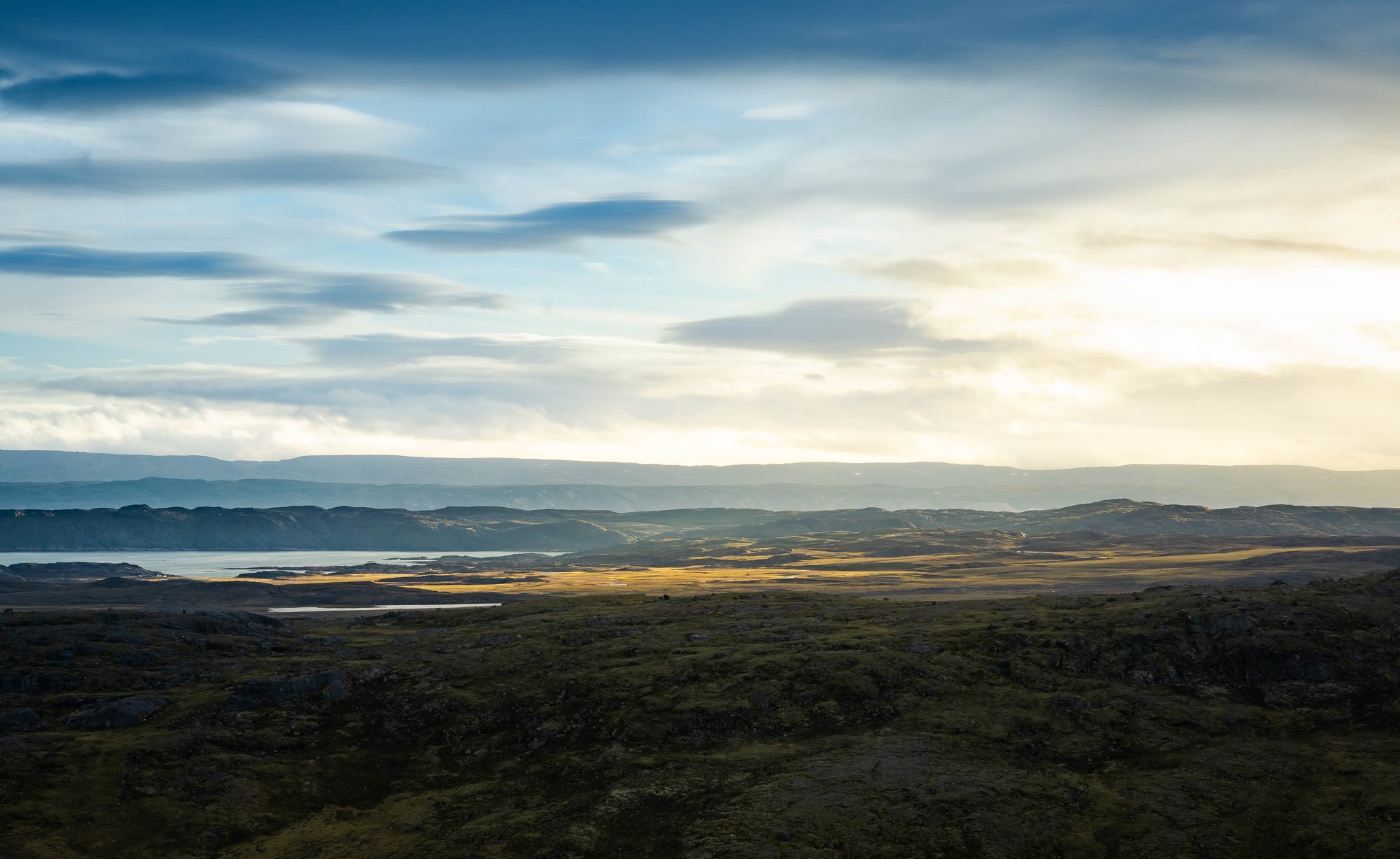 Green Plains