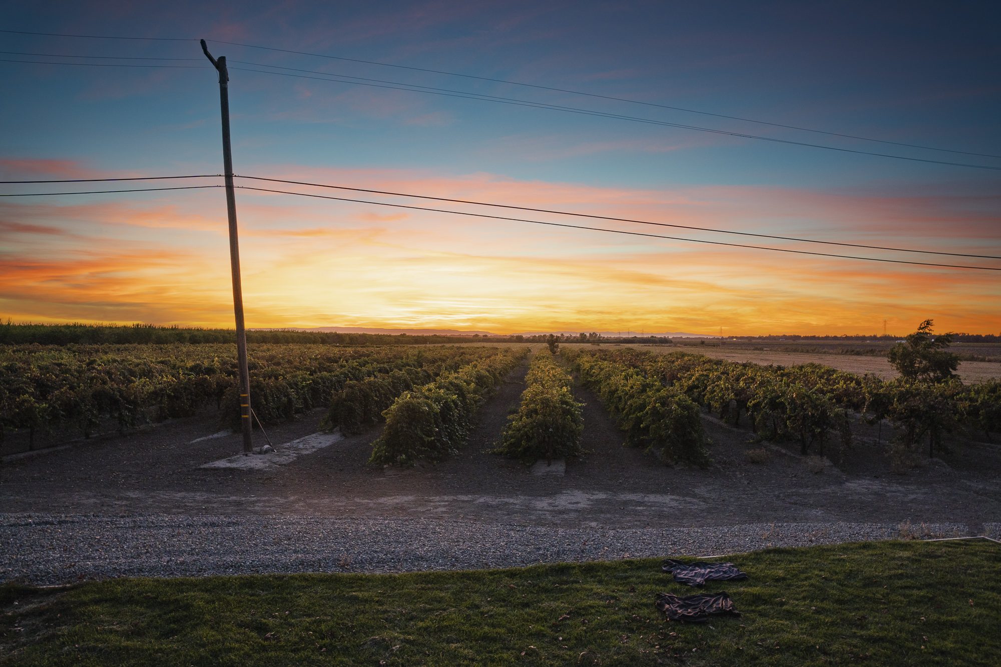 Tiny Vineyard Sunset